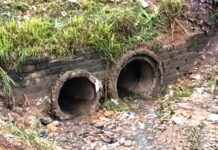 Prefeitura de Guarulhos realiza limpeza de córregos após fortes chuvas