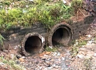 Prefeitura de Guarulhos realiza limpeza de córregos após fortes chuvas